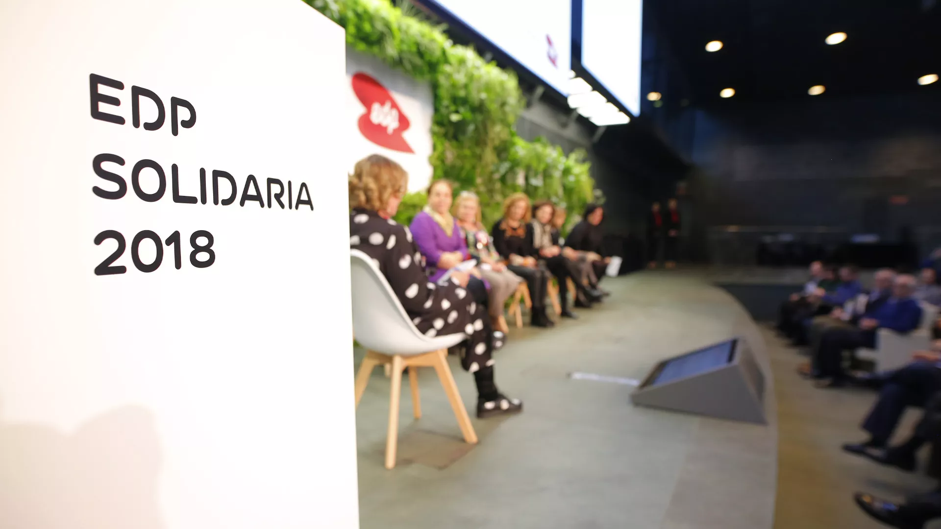 edpsolidaria2018.jpg
