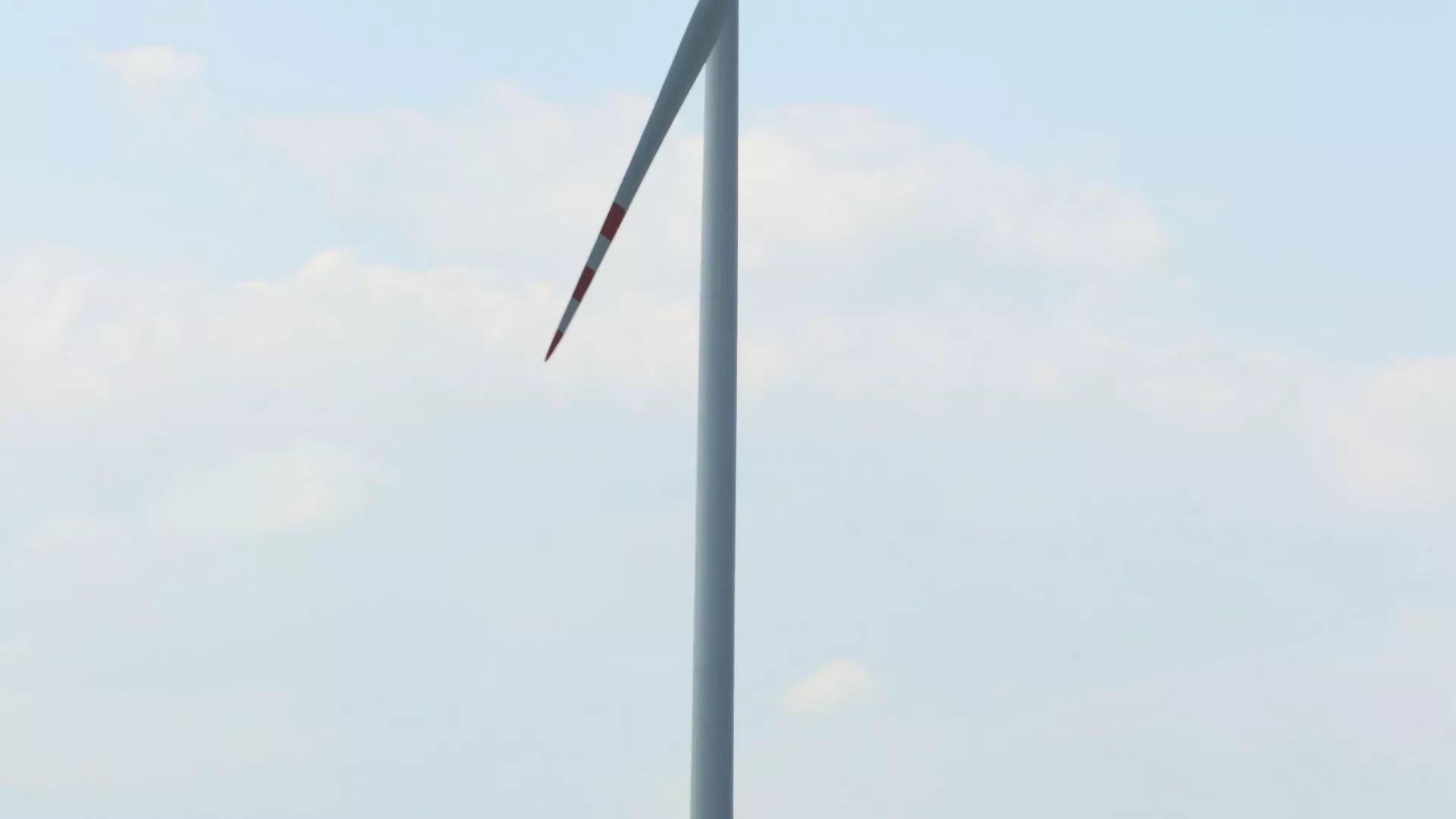 ilza_6.jpg