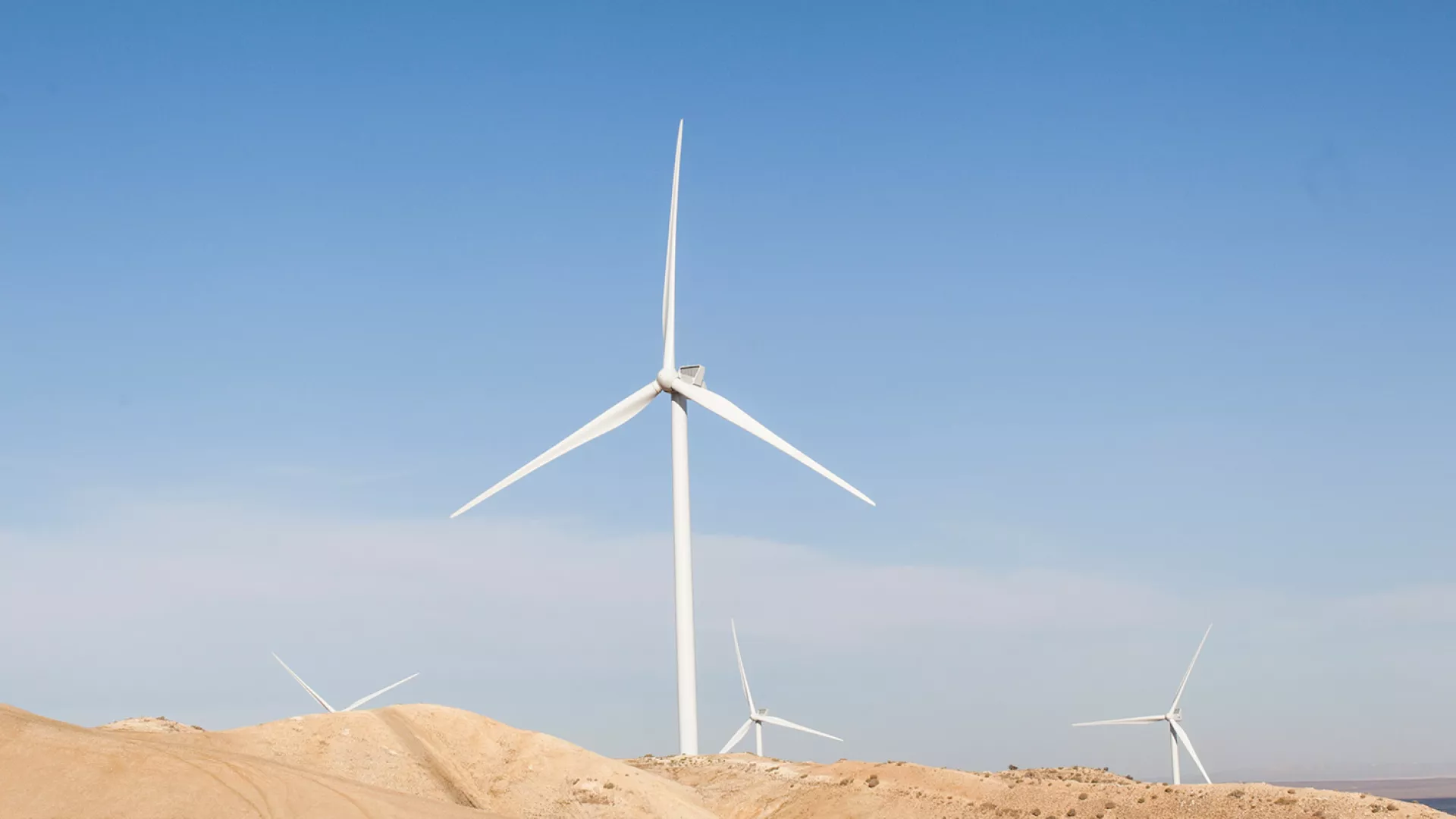 wind_banner_dune_web.jpg