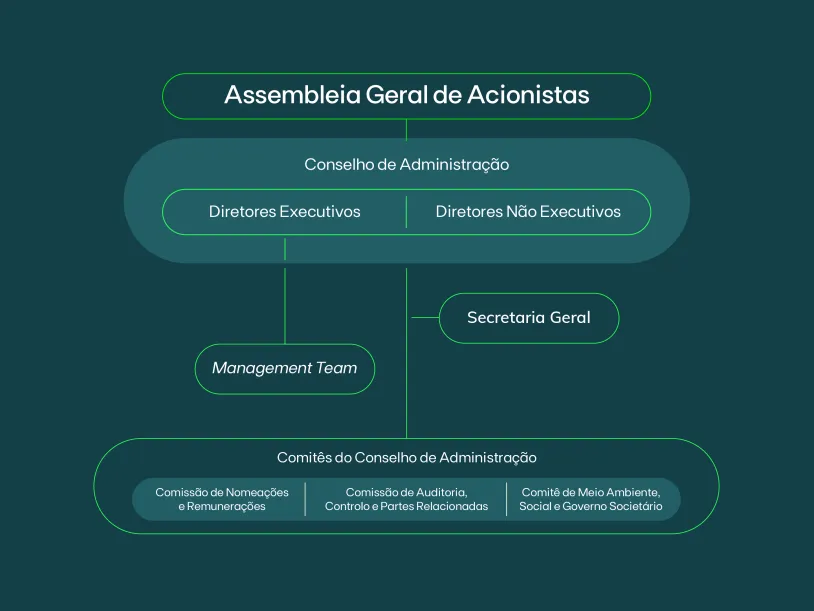 Orgãos Sociais da EDPR